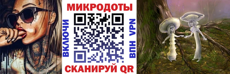 мега зеркало  Ленинск-Кузнецкий  Псилоцибиновые грибы мицелий 
