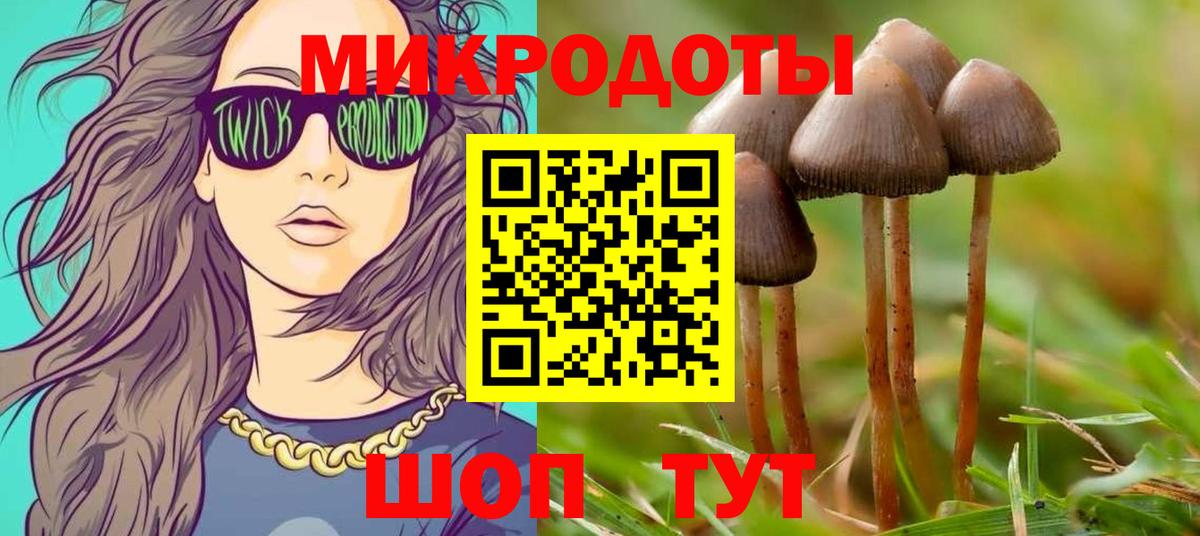 Галлюциногенные грибы Cubensis Ленинск-Кузнецкий