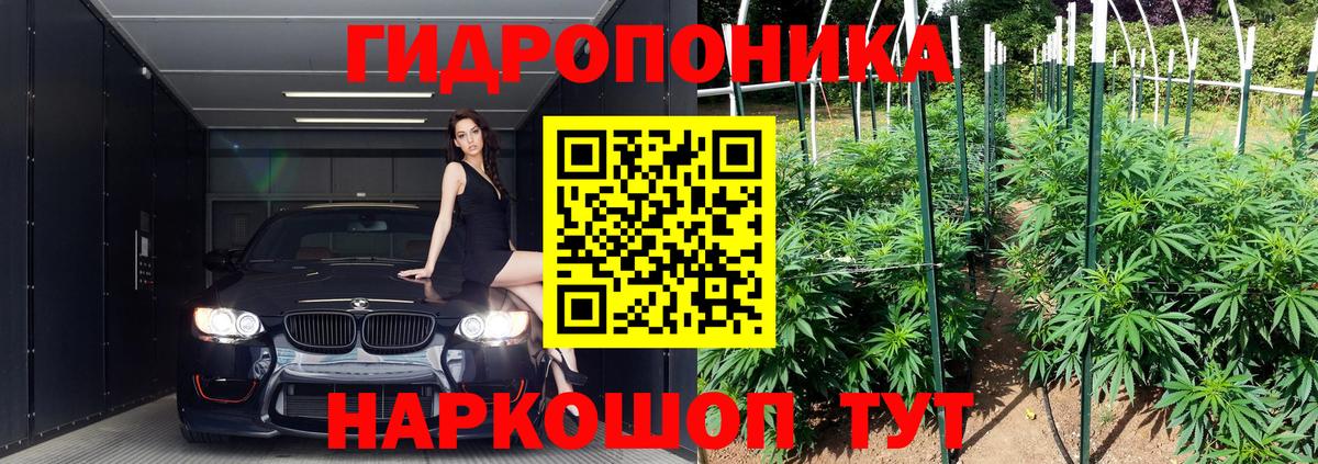 МАРИХУАНА тримм  Каннабис AK-47  Бошки марихуана марихуана  Ленинск-Кузнецкий  МАРИХУАНА конопля  Вход с VPN 